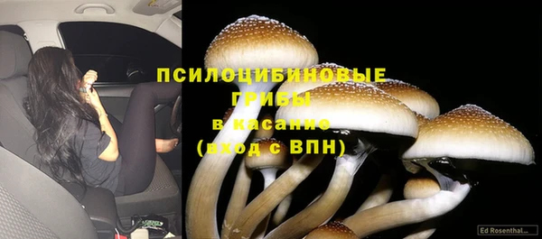 бошки Белоозёрский