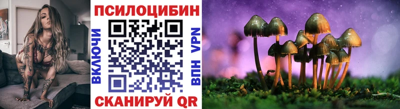 где найти   Кувандык  Галлюциногенные грибы Psilocybine cubensis 